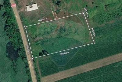 Teren agricol intravilan de 11000 mp, în Hinova - 1
