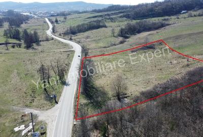 Teren 10.000 mp de vanzare in comuna Valea Ia?ului, jude? Arge?. Teren 10.000 mp de vanzare in comuna Valea Ia?ului, jude? Arge?. - 3