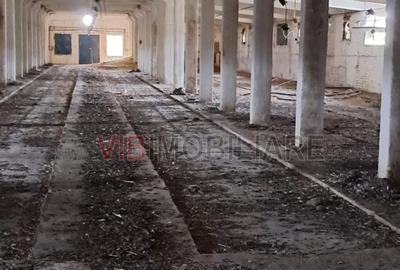 Depozit și hală industrială de vânzare – Orțișoara, complex industrial Avicola - 19