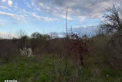 Teren de 930 mp, în Central - 5