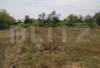 Casă cu 4 camere cu Teren 2300 Mp în Central