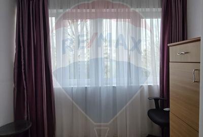 Apartament cu 2 camere semidecomandat, mobilat în Dămăroaia - 11