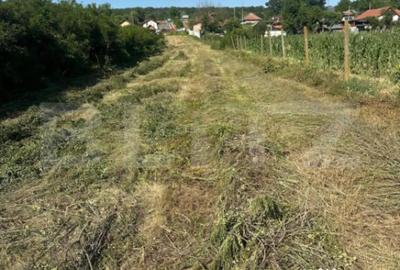 Teren de 2280 mp, în Primăverii - 1