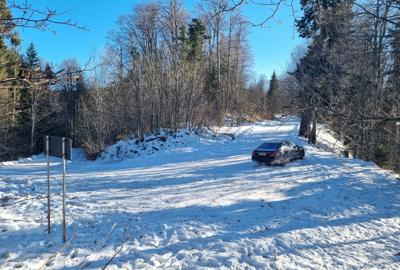 "Oază montană la Pârâul Rece – pensiune complet funcțională, în inima pădurii. - 7