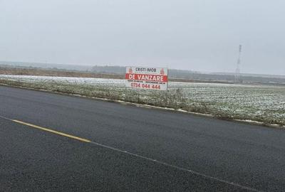 Teren de 30000 mp, în Săucești - 3
