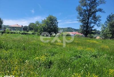 Spațiu comercial, în Domnești - 6