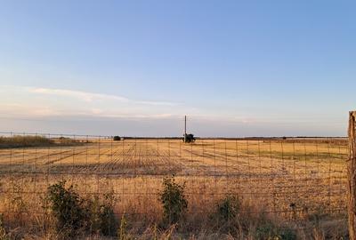 Branistari, Comuna Calugareni judetul Giurgiu - 4