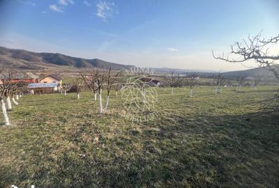 Teren de 3100 mp, în Nimigea - 1