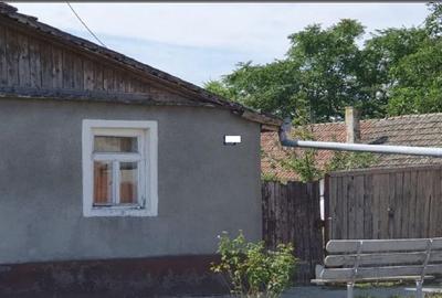 Cota de 1/2 din casa si teren Loc. Beba Veche jud. Timis, - 5