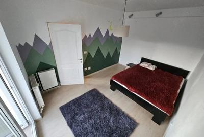 Apartament cu 2 camere semidecomandat în Tudor Vladimirescu - 8
