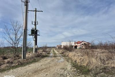 Spațiu comercial, în Balotești - 4