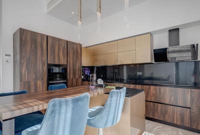 Penthouse pe un nivel complet I panorama 360 I Herastrau. Penthouse pe un nivel complet I panorama 360 I Herastrau. - 9