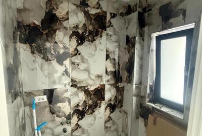 Casă cu 3 camere cu Teren 308 Mp în Berceni - 7