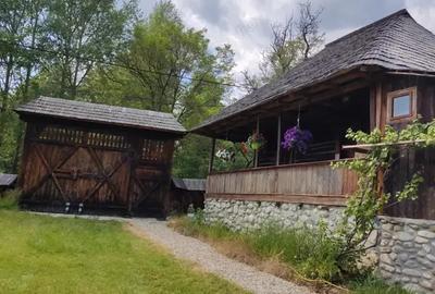 Casă cu 6 camere în Polovragi - 9