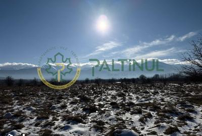 Teren de 3600 mp, în Porumbacu de Jos