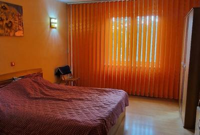 Vanzare Casa 6 camere, zona Viilor-Parcul Carol - 12