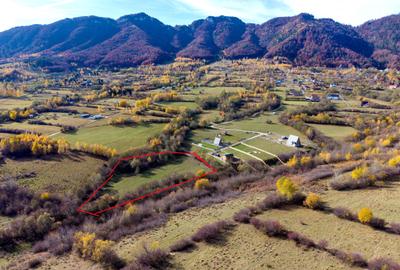 Teren intravilan 5723mp Zarnesti Tohanita- case de vacanta,investitie in turism - 3