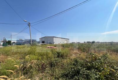 Teren 2000 mp comercial/industrial Calea Bucuresti, zona est - 2