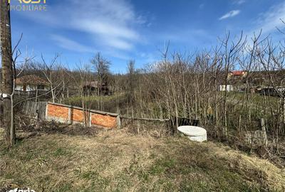 Teren de 11400 mp, în Apahida - 4