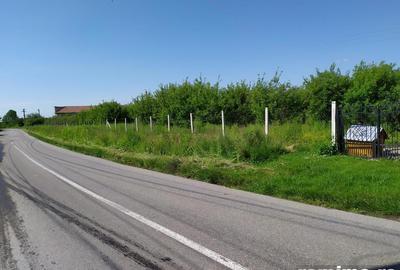 Teren de 10000 mp, în Băicoi - 7