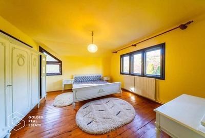 Casa de vacanta, localitatea Cladova, ideal pozitionata - 13