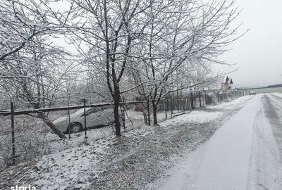 Teren de 882 mp, în Bănești - 6