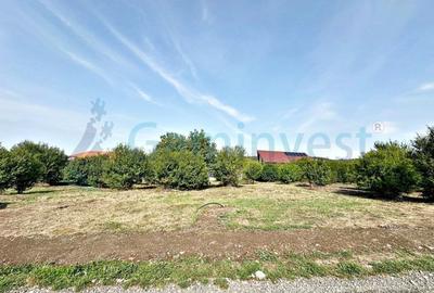 Teren Construcții de 934 mp, în Oncea - 2