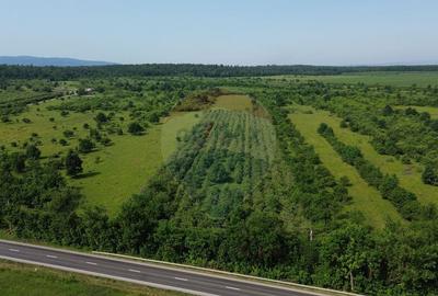 Teren de 3500 mp, în Periferie - 1