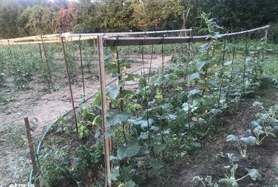 Casă cu 2 camere cu Teren 1900 Mp în Tulca - 7