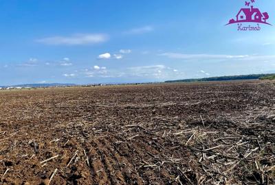 Teren pentru investitii zona Grigorescu - 1