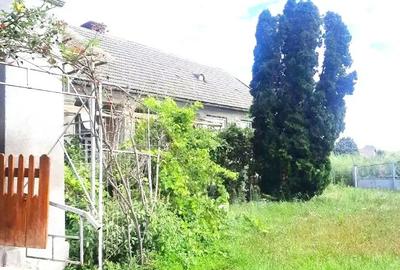 Casă cu 5 camere cu Teren 3463 Mp în Pilu - 5