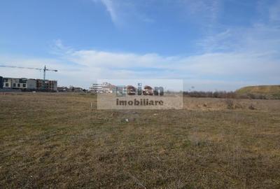 Pipera - Lidl Racovita -  Teren 6000 Mp, 38 Ml Deschidere 38 Ml - 10