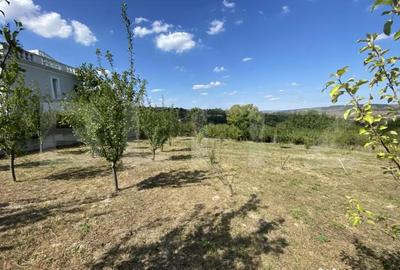 Teren de 1500 mp, în Aghireș - 8
