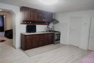 Vand casa Pecica - 7