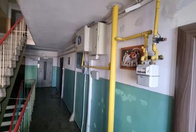 Apartament cu 2 camere decomandat, mobilat în Abator - 18