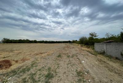 Teren intravilan 393mp cu utilitati la front situat in Braniste jud. Dolj - 1