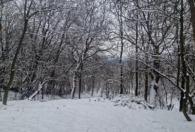 Teren Breaza 461 mp pt constructie si 1461 mp livada - 1