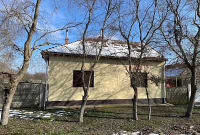 Casă cu 3 camere în Balinț - 10