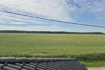 Casa finisata in Vladimirescu 154 mp teren 343 mp, vedere spre padure - 9