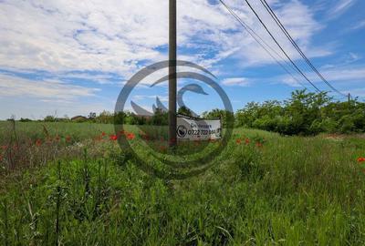 Teren de vanzare | 5000 mp | Parcul Industrial, Ploiesti ... Teren de vanzare | 5000 mp | Parcul Industrial, Ploiesti ... - 1