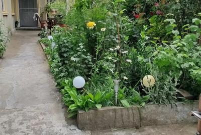 Tabacarie..casa 3 camere - 2