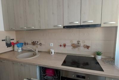 Apartament cu 2 camere nedecomandat în Ocna Mureș - 9