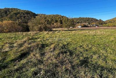 Bocsa Teren Intravilan 2754 Mp. - 7