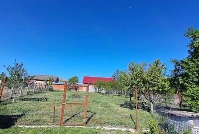 Casă cu 3 camere cu Teren 870 Mp în Ucuriș - 5