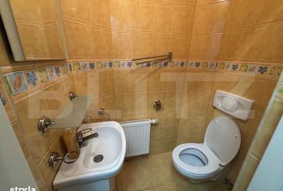 Apartament cu 3 camere în Someșeni - 11