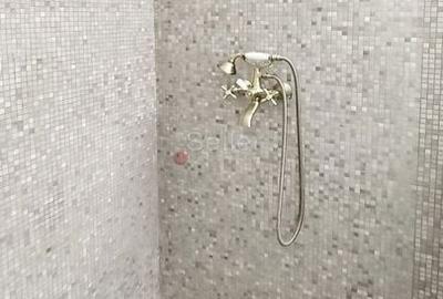 Casa cu gradina centru istoric Casa cu gradina centru istoric - 17