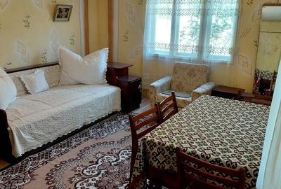 Casă cu 4 camere cu Teren 4327 Mp în Bârzava - 5