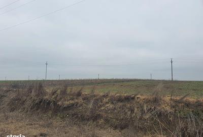 Teren de 140000 mp, în Albești - 1