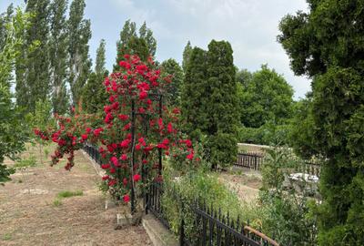 Casă cu 4 camere în Garoafa - 1