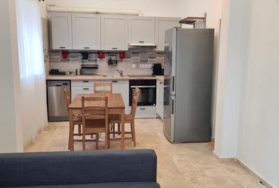 Duplex cu 3 camere cu Teren 12 Mp în Banu Manta - 1